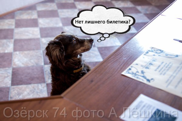 Ногогодняя кампания в театре "Наш дом"